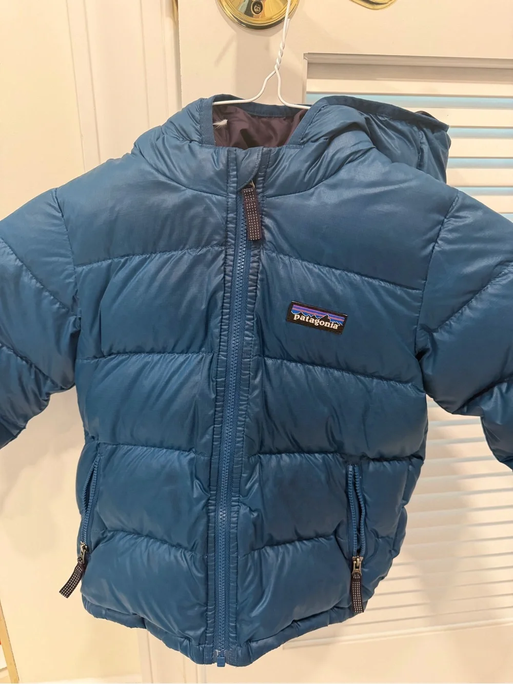 Patagonia Teal Puffer Jacket - 3T